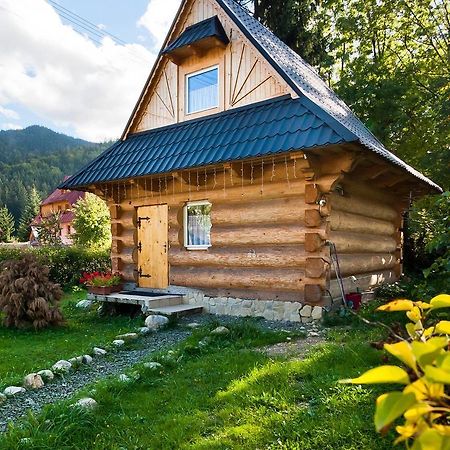 Domki U Ciaptoka Villa Zakopane Bagian luar foto