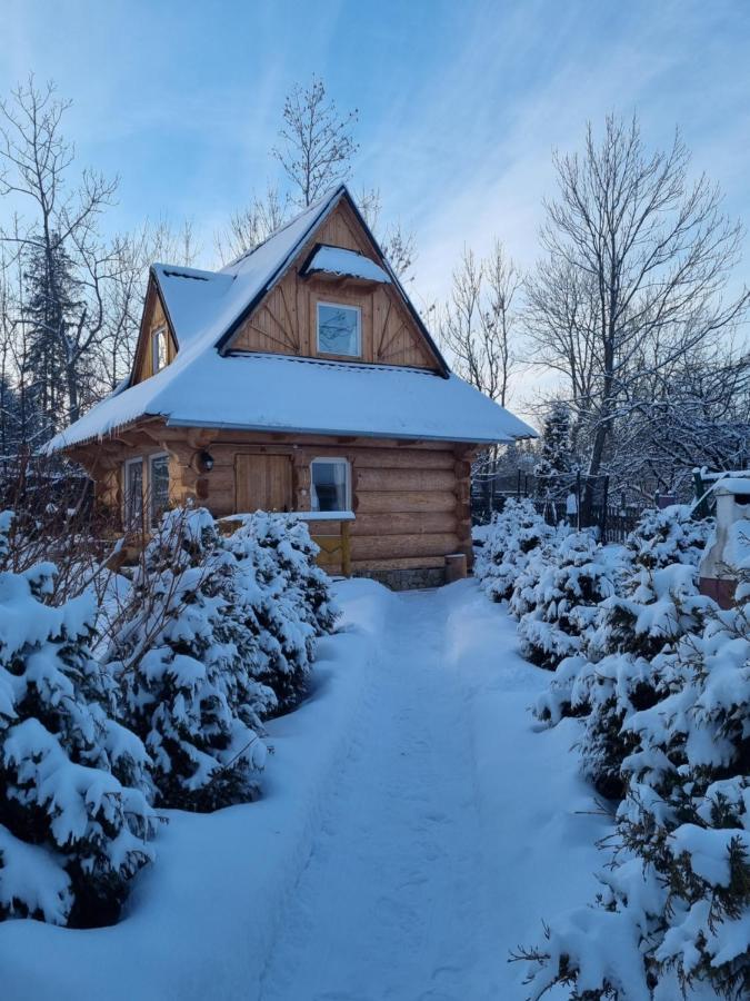 Domki U Ciaptoka Villa Zakopane Bagian luar foto