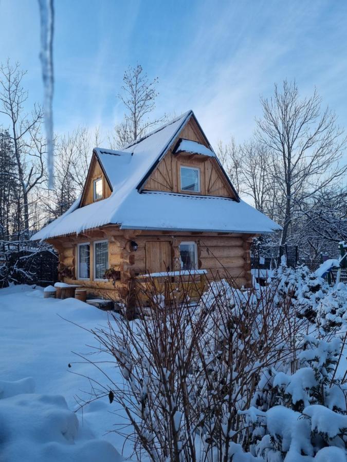 Domki U Ciaptoka Villa Zakopane Bagian luar foto