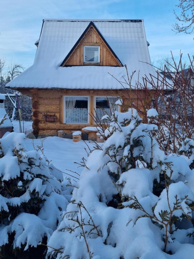 Domki U Ciaptoka Villa Zakopane Bagian luar foto