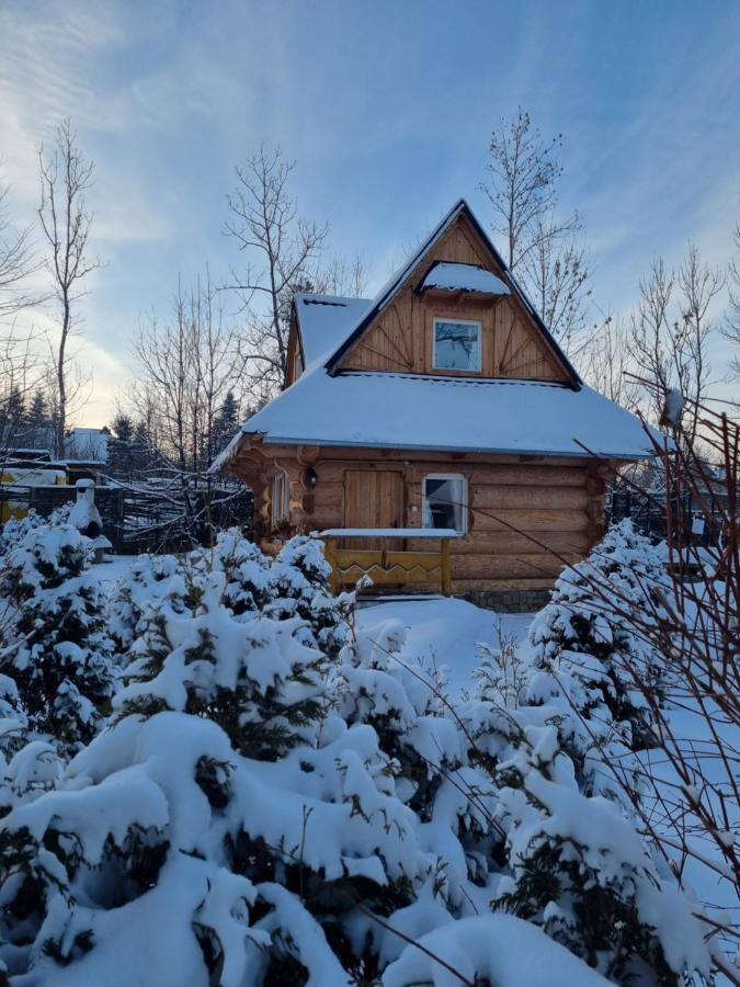 Domki U Ciaptoka Villa Zakopane Bagian luar foto